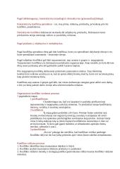 Organizacinė komunikacija 8 puslapis
