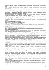 Išsami informacija apie vadybą 15 puslapis