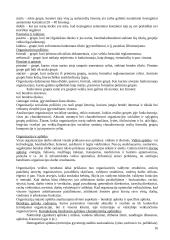 Išsami informacija apie vadybą 16 puslapis