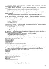 Išsami informacija apie vadybą 17 puslapis