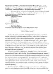 Išsami informacija apie vadybą 20 puslapis