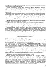 Išsami informacija apie vadybą 6 puslapis