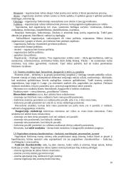 Išsami informacija apie vadybą 10 puslapis