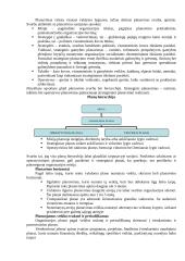 Išsamus pasiruošimas vadybos egzaminui 13 puslapis