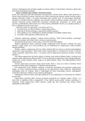 Išsamus pasiruošimas vadybos egzaminui 5 puslapis