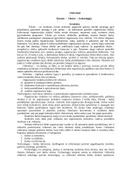 Išsamus pasiruošimas vadybos egzaminui 8 puslapis