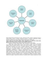 Išsamus pasiruošimas vadybos egzaminui 10 puslapis