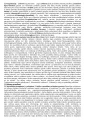 Įvado į vadybą teorija 2 puslapis
