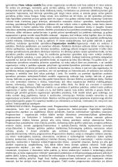 Įvado į vadybą teorija 18 puslapis