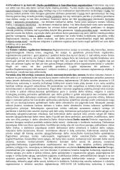 Įvado į vadybą teorija 5 puslapis