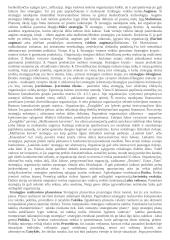 Įvado į vadybą teorija 10 puslapis