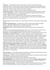 Vadyba: planavimas, organizavimas, kontrolė 2 puslapis