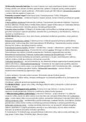 Vadyba: planavimas, organizavimas, kontrolė 6 puslapis