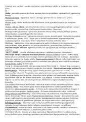 Vadyba: planavimas, organizavimas, kontrolė 8 puslapis