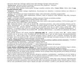 Vadybiniai sprendimai - teorija egzaminui 7 puslapis