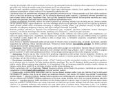 Vadybiniai sprendimai - teorija egzaminui 8 puslapis