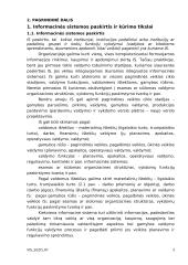 Vadybos informacinės sistemos koncepcija 3 puslapis