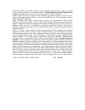 Vadybos teorijos objektas 3 puslapis