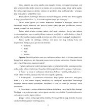 Vadovui keliami reikalavimai 2 puslapis
