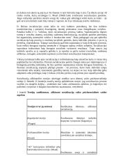 Vaiko socializacijos teorija 2 puslapis