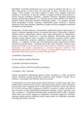 Vaiko socializacijos teorija 17 puslapis