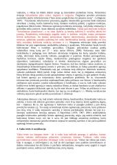 Vaiko socializacijos teorija 19 puslapis