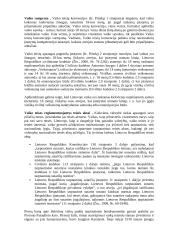 Vaiko socializacijos teorija 20 puslapis