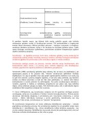 Vaiko socializacijos teorija 3 puslapis