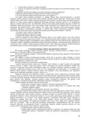 Valdymas ir valdymo kontrolė 13 puslapis