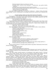 Valdymas ir valdymo kontrolė 15 puslapis