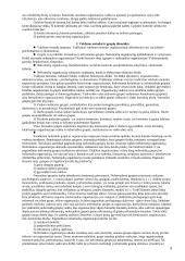 Valdymas ir valdymo kontrolė 3 puslapis