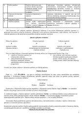 Valdymo apskaita Lietuvoje 2 puslapis