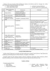 Valdymo apskaita Lietuvoje 3 puslapis