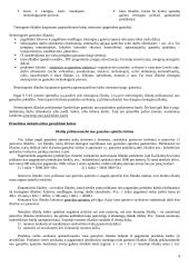 Valdymo apskaita Lietuvoje 4 puslapis