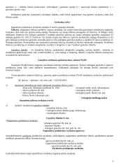 Valdymo apskaita Lietuvoje 5 puslapis