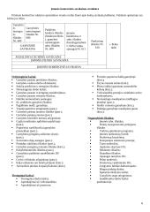 Valdymo apskaita Lietuvoje 6 puslapis