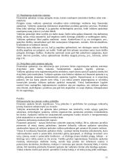 Valdymo apskaita. Teorija 11 puslapis