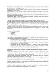 Valdymo apskaita. Teorija 13 puslapis