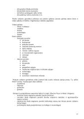 Valdymo apskaita. Teorija 17 puslapis