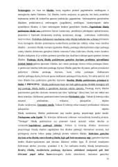 Valdymo apskaitos teorija atsiskaitymui 15 puslapis