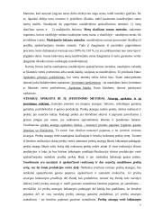 Valdymo apskaitos teorija atsiskaitymui 7 puslapis