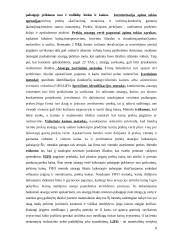 Valdymo apskaitos teorija atsiskaitymui 8 puslapis