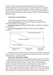 Valdžia, įtaka, lyderystė 3 puslapis