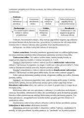 Valdžia, įtaka, lyderystė 4 puslapis