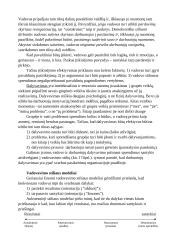 Valdžia, įtaka, lyderystė 5 puslapis