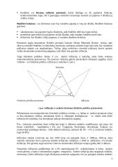 Valstybės fiskalinė politika 3 puslapis