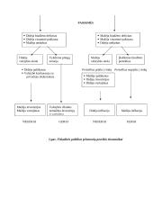 Valstybės fiskalinė politika 8 puslapis