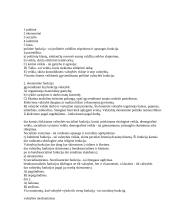 Valstybės ir teisės teorija - medžiaga egzaminui 11 puslapis