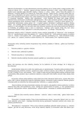 Valstybės pajamų politika 4 puslapis