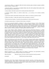 Valstybės pajamų politika 7 puslapis